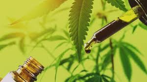 § 355], or has been. Cbd Vs Cbn Effects Similarities And Differences