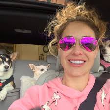 2023 HLSR cattle show by the numbers: 🐄 6,067 head of cattle 🐄 25 breeds  🐄 4,186 cattle show exhibitors