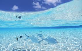 夏 デスクトップ 壁紙