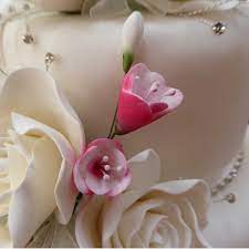 Maybe you would like to learn more about one of these? Sugarcraft Flowers Sugar Flowers Handmade In A Wide Range Of Colours For Decoration Wedding And Celebration Cakes