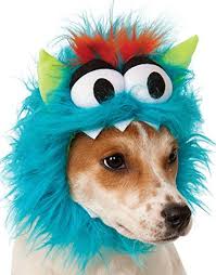 We did not find results for: Disfraz Para Mascota Monstruo De Las Galletas Azul Perro Talla L Locas Por Halloween