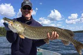 The crew from lindner's fishing edge visited us and stayed on one of our houseboats. Birch Bark Lodge Sunset Country Ontario Canada