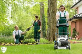 If you want to cover replacement and repair costs for your lawn care gear, you can add tools and equipment insurance to this policy. Lawn Business Yorte