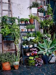 Salladskal Plantenstandaard Ikea Hippie Tuin Plantenstaander Tuin En Terras