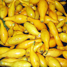 Maybe you would like to learn more about one of these? Summer Squash Definition And Synonyms Of Summer Squash In The English Dictionary