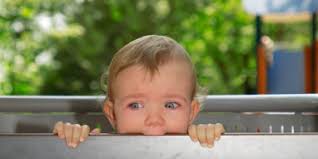 Separation anxiety survival guide