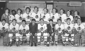 The rink was first opened both pros and novices of all ages can use the rink, with classes in skating and ice hockey also vailable. 1982 83 Bhl Season Ice Hockey Wiki Fandom