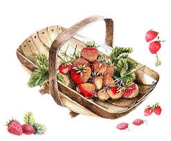 Frutas Manualidades Frutas Retro