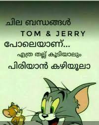 See more ideas about malayalam quotes, quotes, feelings. Malayalam Funny Quotes For Whatsapp Funny Png