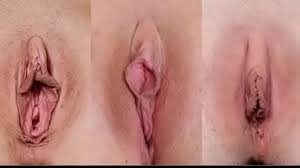 Lot Of Pussy - XNXX.COM