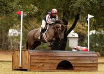 August Schooling Show