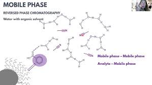 A Guide To Large-Scale Rna Sample Preparation | Analytical And  Bioanalytical Chemistry