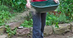 So legen sie einen grünen teppich an. Rasen Saen Mit Dieser Anleitung Kein Problem Mein Schoner Garten