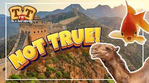 I was 11 or 12, it was a big hit back them, sean austin was my first crush. Tea N Toast 1 Goonies Quiz News Or Not 80s Toys Cost Youtube