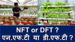 Yeah i know about that. Episode 7 Part 4 Nft Or Dft à¤à¤¨à¤à¤«à¤Ÿ à¤¯ à¤¡ à¤à¤«à¤Ÿ Youtube