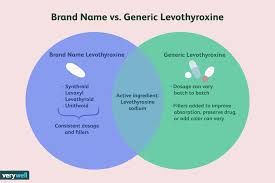 Brand Name Vs Generic Levothyroxine Whats The Difference