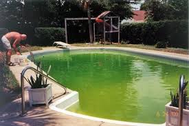 Salt Water Systems Vs Chlorine In Swimming Pools Saltwater Pool Swimming Pools Pool