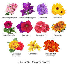 Birth Month Flower Grow Kit July Flower Lovers Seed Pod Kit For Indoor Flower Gardens Flower Types Chart Easiest Flowers To Grow Plants For Small Gardens