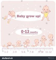 Baby Development Baby Growth Newborn Toddler Stock Vector