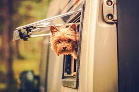 Secure transportation services from people who live and breathe security. 3 Best Rv Security Systems For Every Category Rvblogger