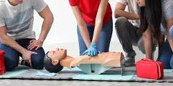 Red Cross Adult and Pediatric First Aid/CPR/AED Course