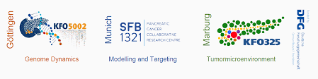 Our pancreatic cancer team includes some of the nation's most distinguished clinicians and researchers in the field. First Virtual Gottingen Munich Marburg Pancreatic Cancer Meeting Sfb1321