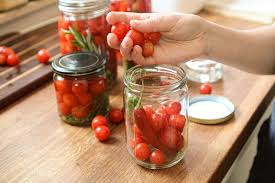 Tomaten Fermentieren Rezept Spritziger Sommer Snack Wurzelwerk Tomaten Fermentieren Kuche Selber Machen Rezepte