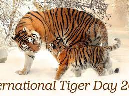 The goal of the day is to promote a global system for protecting the natural habitats of tigers and to raise public awareness and support for tiger conservation issues. International Tiger Day 2020 Date And Significance Know History Of The Observance That Encourages Tiger Conservation