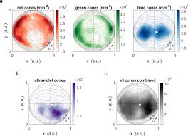 Maybe you would like to learn more about one of these? Spherical Arena Reveals Optokinetic Response Tuning To Stimulus Location Size And Frequency Across Entire Visual Field Of Larval Zebrafish Elife