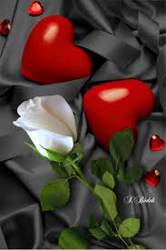 مساؤكم قلوب عامرة بالخير والحب والعطاء beautiful heart images love heart images heart images