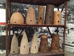 Pin By Melissa Abbott On H O N E Y H O N E Y B E E S Bee Skep House Bee Skep Bee Keeping