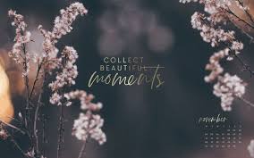 Kostenlose Wallpaper Entdecke Jeden Monat Neue Motive Jo Judy Desktop Hintergrund Hintergrundbilder Wallpaper Fur Desktop