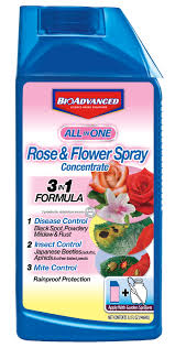 Realize the repellent effect without killing targets snake, spider, scorpion, centipede features it can. Bioadvanced All In One Rose Flower Spray Concentrate Insect Pest Killer 32 Oz Walmart Com Walmart Com