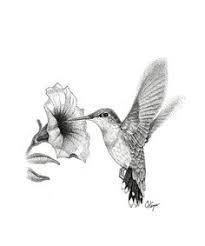 If you want your hummingbird to look like it was torn from the pages of a nature photography magazine, consider a realistic black and grey hummingbird tattoo. 16 Hummingbird Tattoo Black Ideas Hummingbird Tattoo Hummingbird Tattoo Black Body Art Tattoos