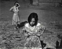 The Nelson-Atkins Museum of Art