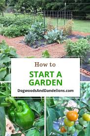 How To Start A Garden Starting A Garden Vegetable Garden Design Starting A Vegetable Garden