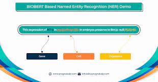 Recent studies in deep learning have shown significant progress in named entity recognition (ner). Named Entity Recognition Ner Using Biobert
