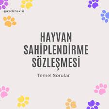 hayvan sahiplendirme sozlesmesi ornegi petarkadas com