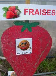 Cueillette A La Ferme A Lille Ramassez Vos Fruits Et Legumes Citizenkid