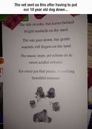Letter From The Vet Pet Remembrance Old Dogs Pet Sympathy