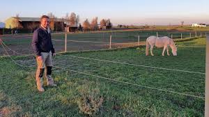 Loos En Gohelle Face A Ce Deuxieme Confinement Il Est Plus Facile D Aller Voir Son Cheval Pour connaître les jours des vols cargos à destination des antilles et réunion 👍🏼. plus facile d aller voir son cheval