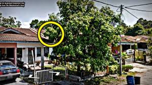 Ranting pokok asam, alor setar, kedah. Boleh Ke Korang Tebang Dahan Pokok Yang Masuk Kawasan Asklegal My