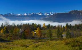 Pokljuka is a fantastically pretty green plateau, belonging to the largest forested area in triglav national park. Pokljuka Plateau Slovenia Travelslovenia Org All You Need To Know To Visit Slovenia