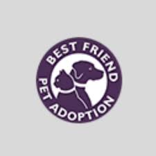 You deserve only the best! Best Friend Pet Adoption The Triangle Nonprofit Volunteer Leadership Center