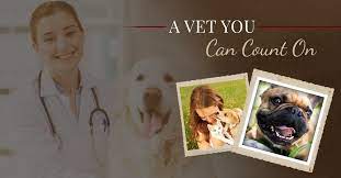 Doctors at healserv not just medicate them with medicines they also treat them with love, affections and care. Best Vet Near Me See What Sets Valley Center Veterinary Clinic Apart