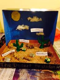 Biome In A Box Project Desert Biome Box Desert Diorama Habitats Projects Ecosystems Projects