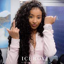Rubi Rose On Instagram My First Watch Icebox 2tone Ap Yeah It Busss It Was Time I Treated Myself Fotos Instagram Videos