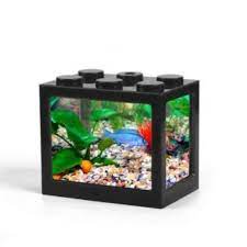 Kelinci, hamster, guinea pig area pati. Aquarium Mini Lego Block Black1a Akuarium Ikan Hias Cupang Hitam Terbaru Agustus 2021 Harga Murah Kualitas Terjamin Blibli