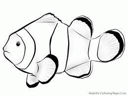 They are all free to print, and the kids will love coloring them in. Clownfish Coloring Page Coloring Home