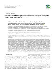 We did not find results for: Pdf Genotoxic And Chemopreventive Effects Of Vochysia Divergens Leaves Pantanal Brazil